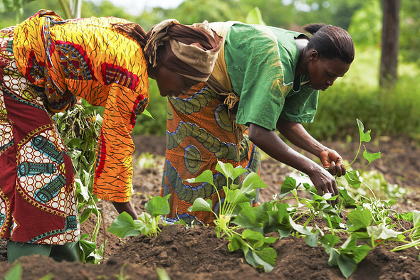Grow Ghana holds Policy Dialogue