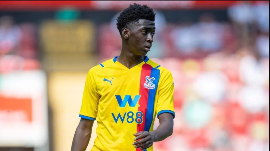Crystal Palace fans excited with Rak-Sakyi's performance against Leeds