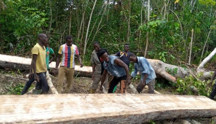 Residents of Woman No Good electoral area fix broken bridge after neglect