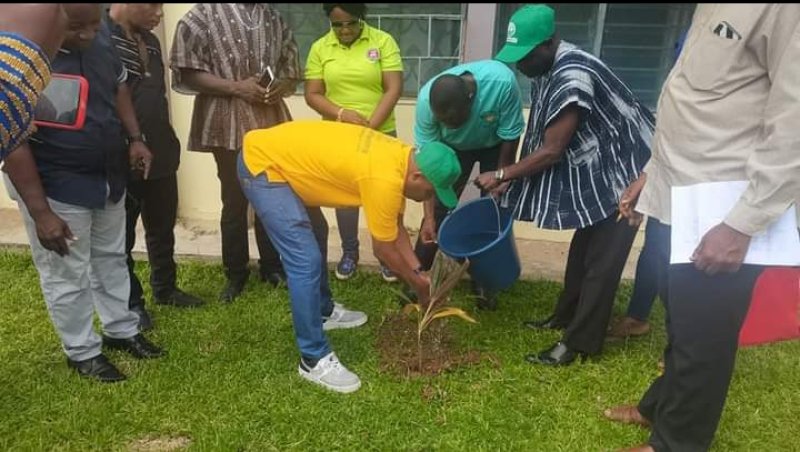 Trees planted will help restore Ghana’s lost Forest