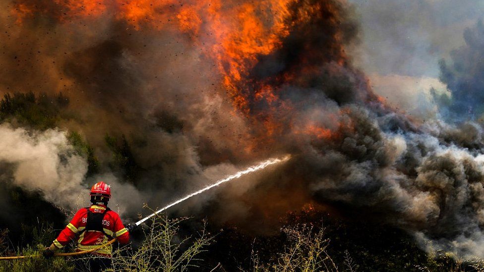 Deadly wildfires spread in Mediterranean