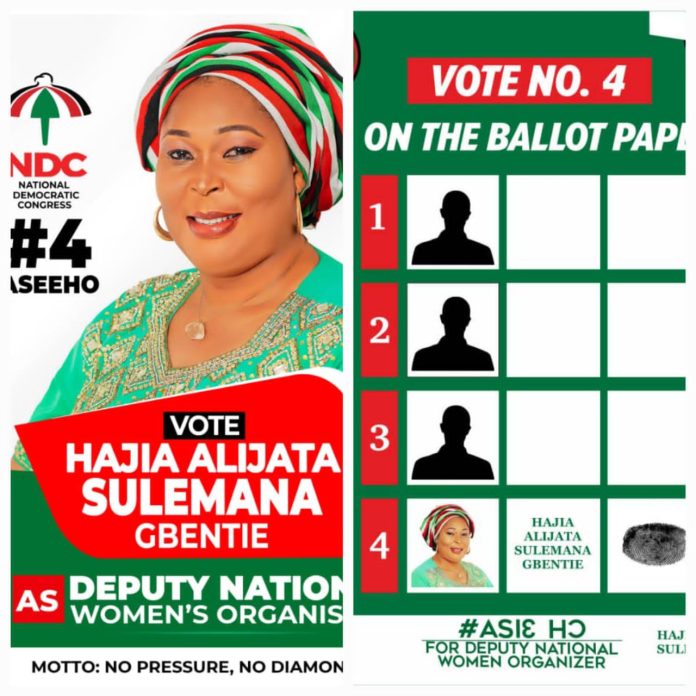 Politics Aspirant Plans