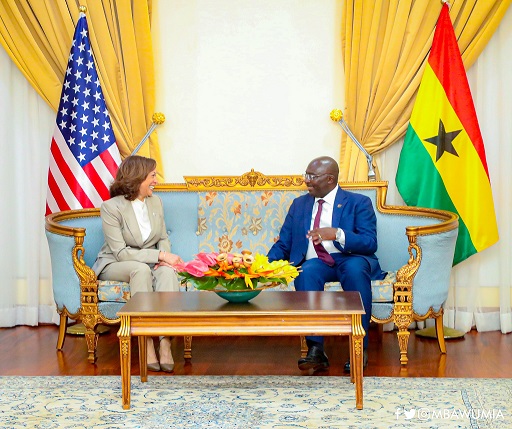 Kamala Harris With Vice President Bawumia