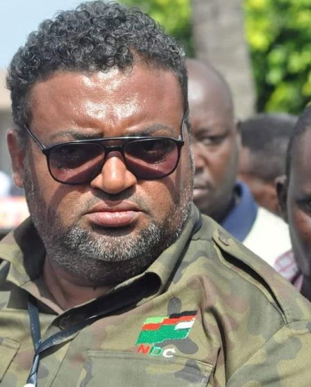 Forget about breaking the 8, if your intention is to rig the election – Yamin tells NPP