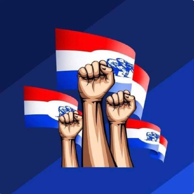 New Patriotic Party (NPP)
