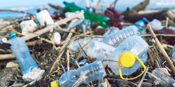 Effects of single use plastics on the environment – Skyy Power FM