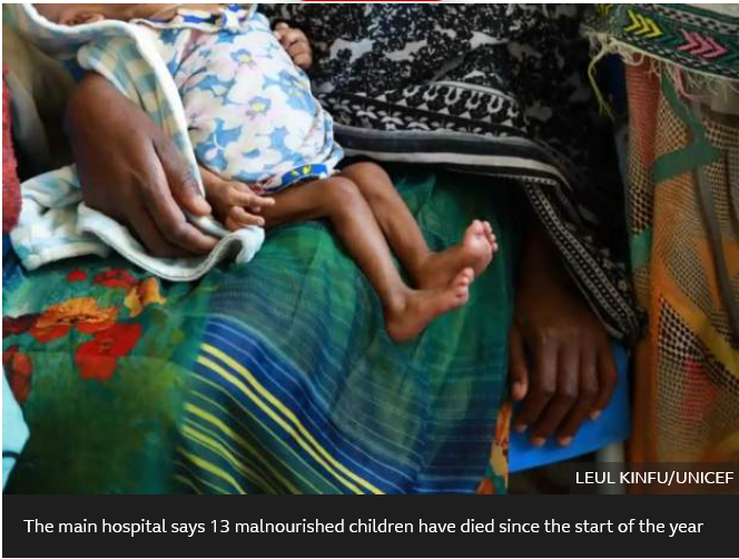 Sharp rise in child deaths after Tigray loses food aid