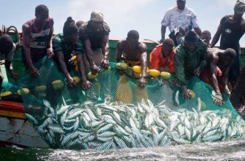 "Fish for sex" prevalent among fisher folks in New Takoradi