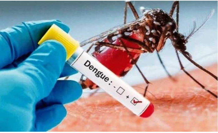 Over 100 Dengue fever cases recorded in 6 regions
