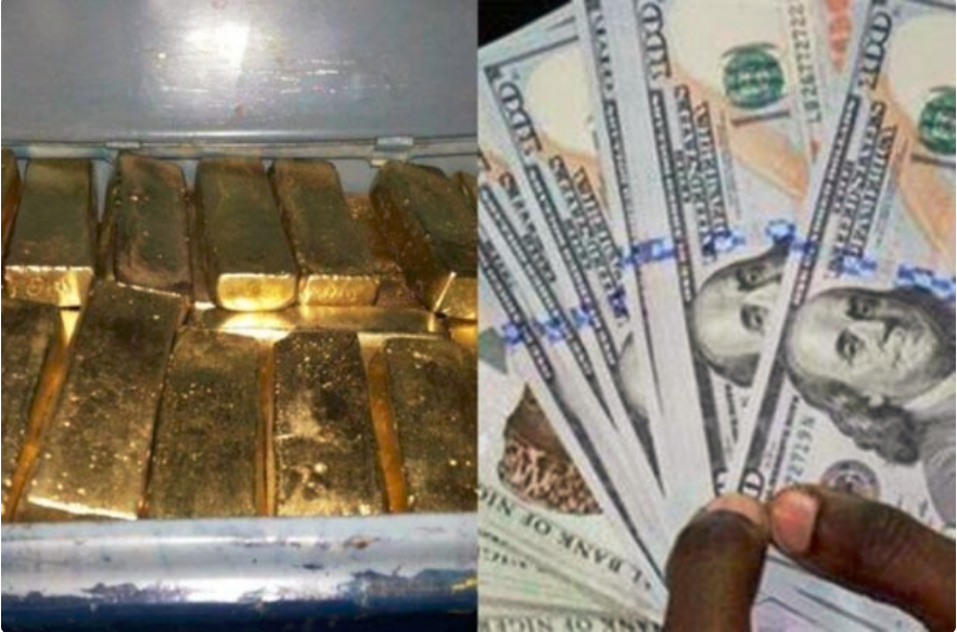 National Security seizes stash of US dollars, gold bars, and counterfeit currency in warehouse bust