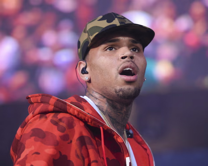 Chris Brown reportedly arrested